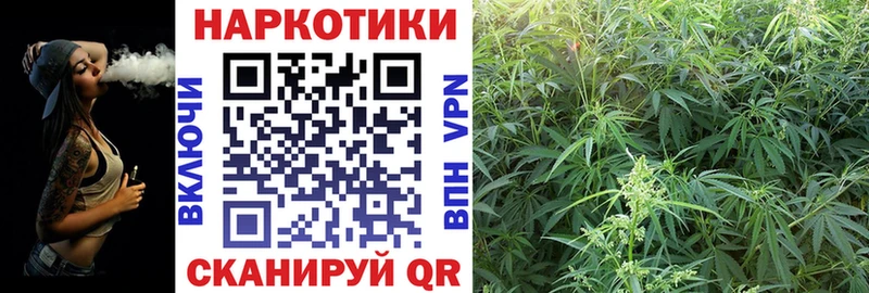 Канабис Гаврилов Посад