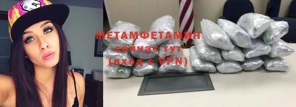 шишки Сосновый Бор