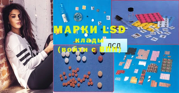 PSILOCYBIN Сосновка
