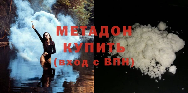 шишки Сосновый Бор